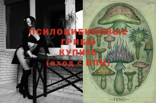 прущие крисы Абаза